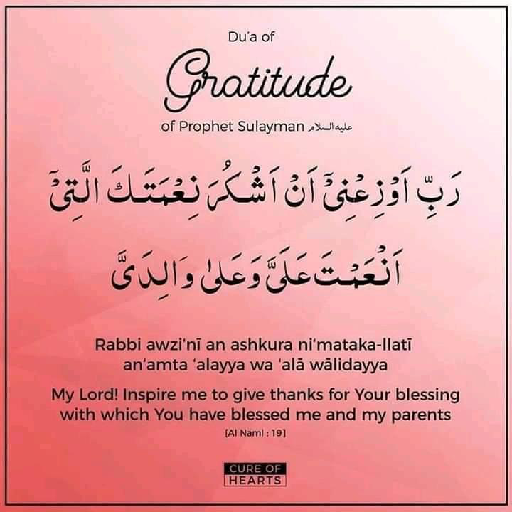 Gratitude